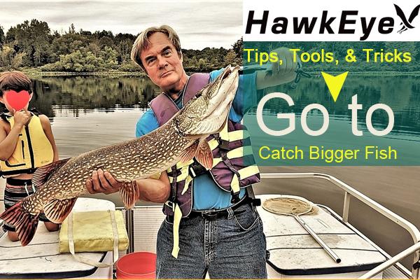 BIG FISH CATCH