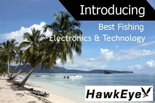Technology in Boating and Fishing Electronics