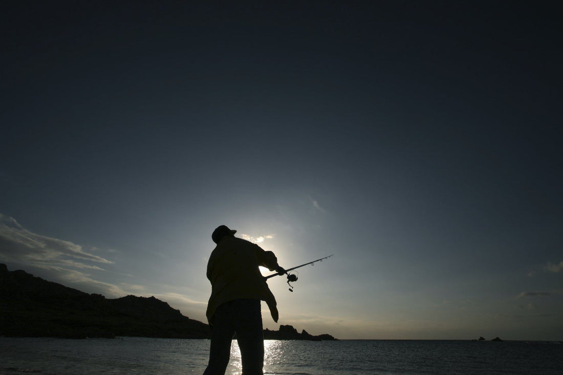 Whiting - Kings of the Surf