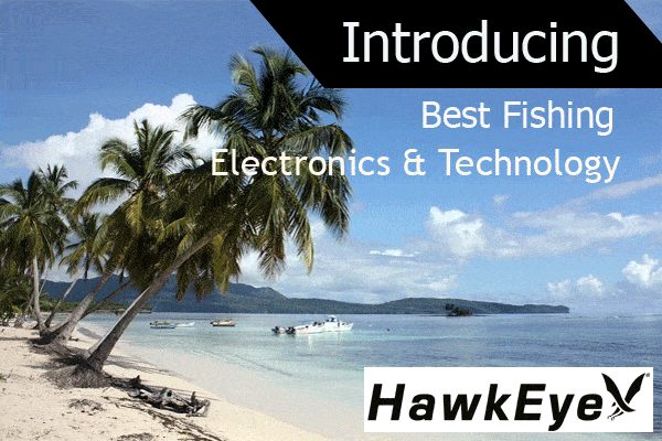  Technology in Boating and Fishing Electronics