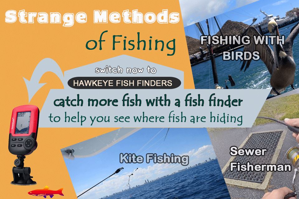 Unusual Methods of Fishing – HawkEye® Electronics