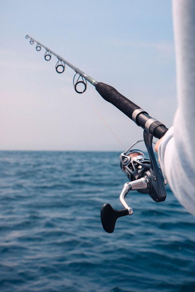 When is the Best Time to Fish?
